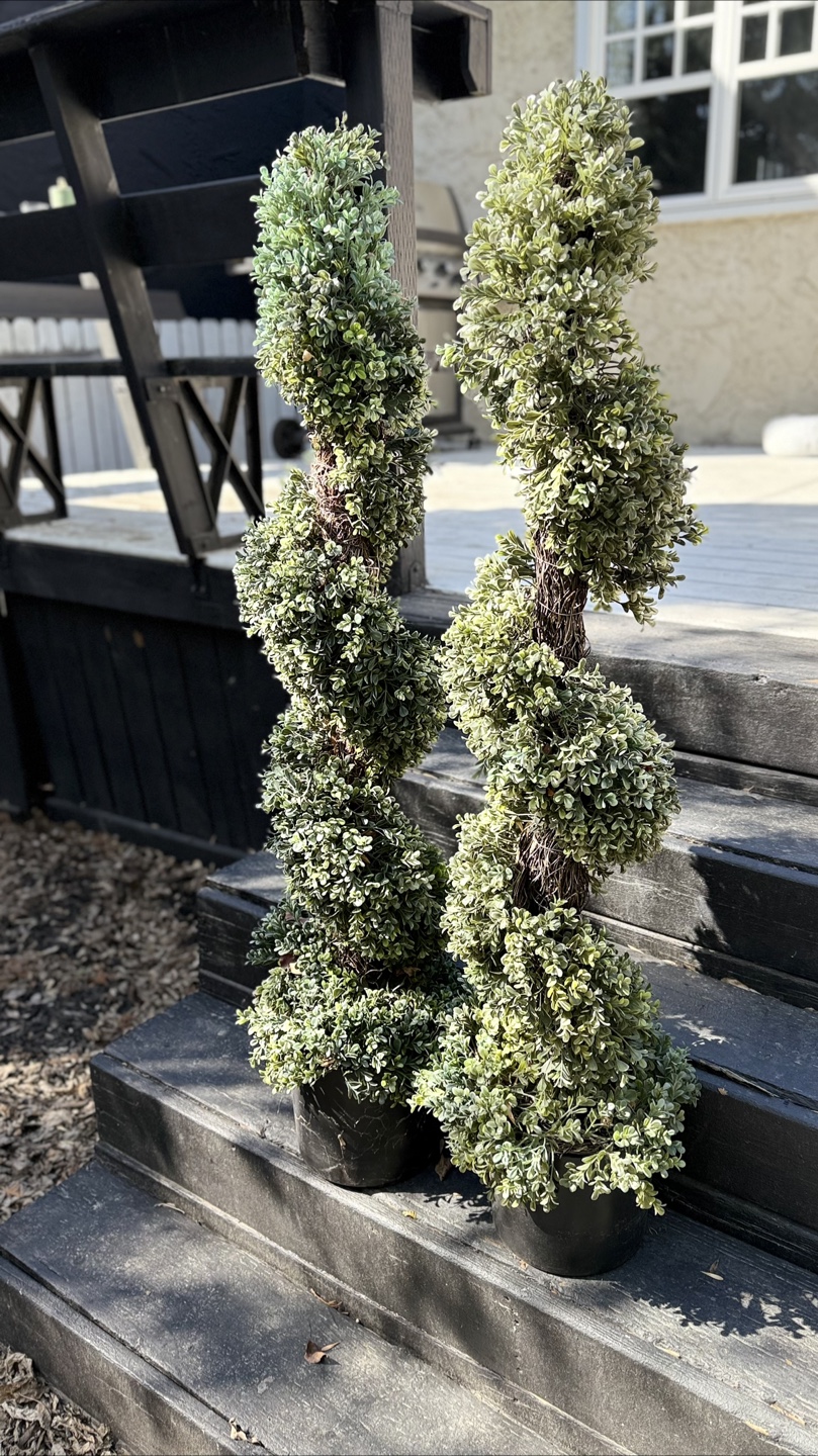 3 foot spiral topiary (2) - photo 2