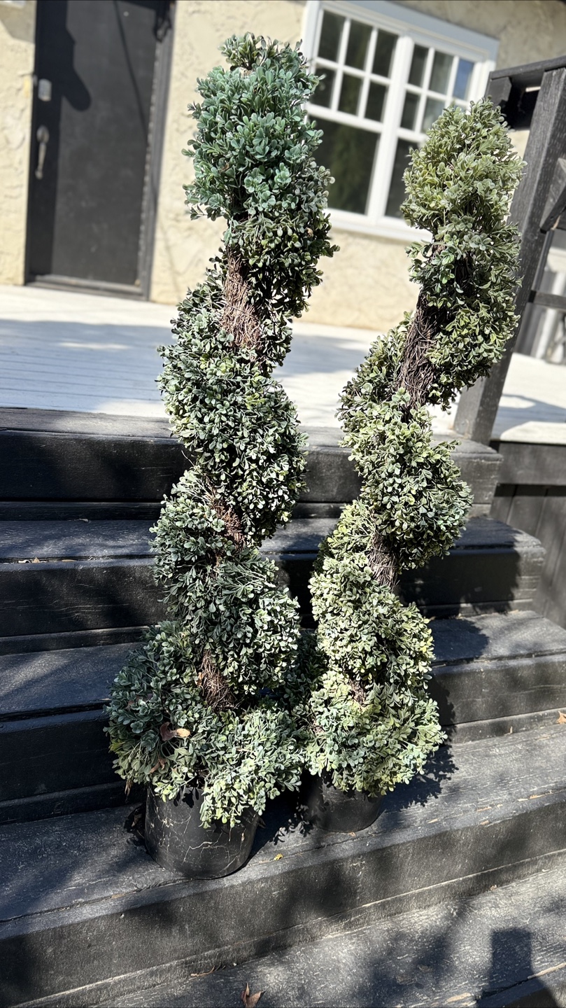 3 foot spiral topiary (2)