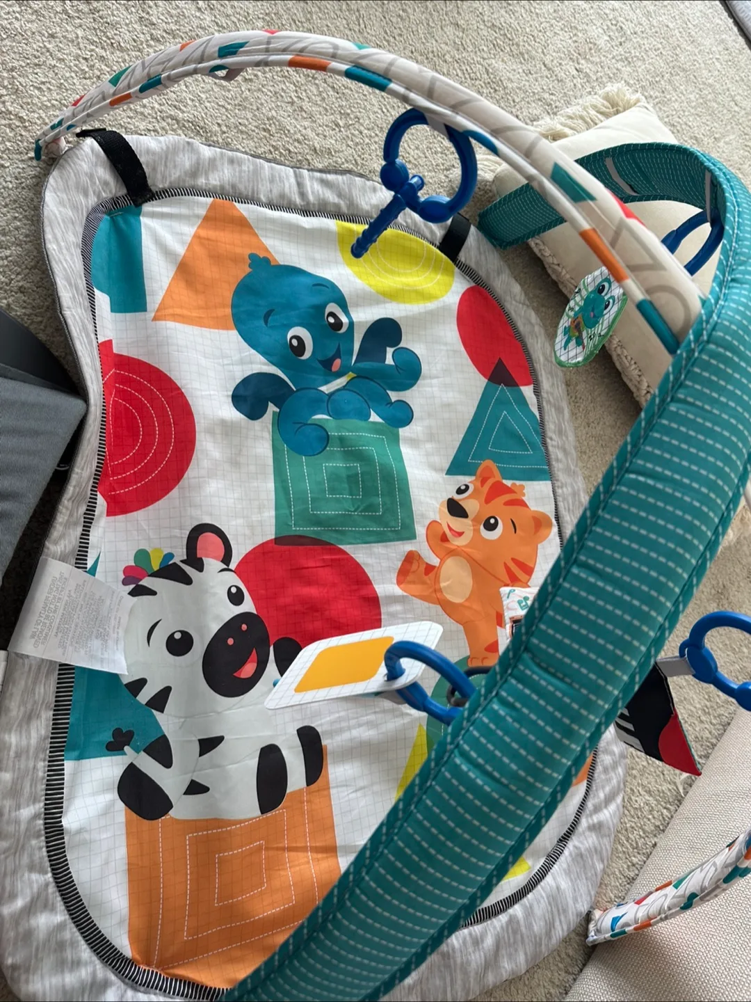 Baby Play Gym thumbnail