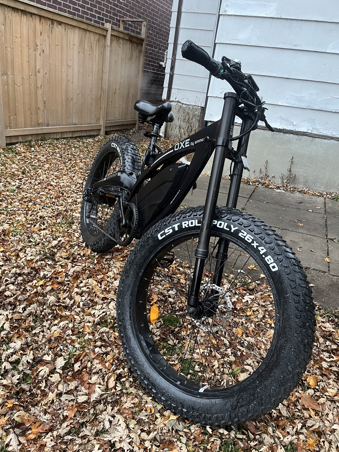 Electric bike