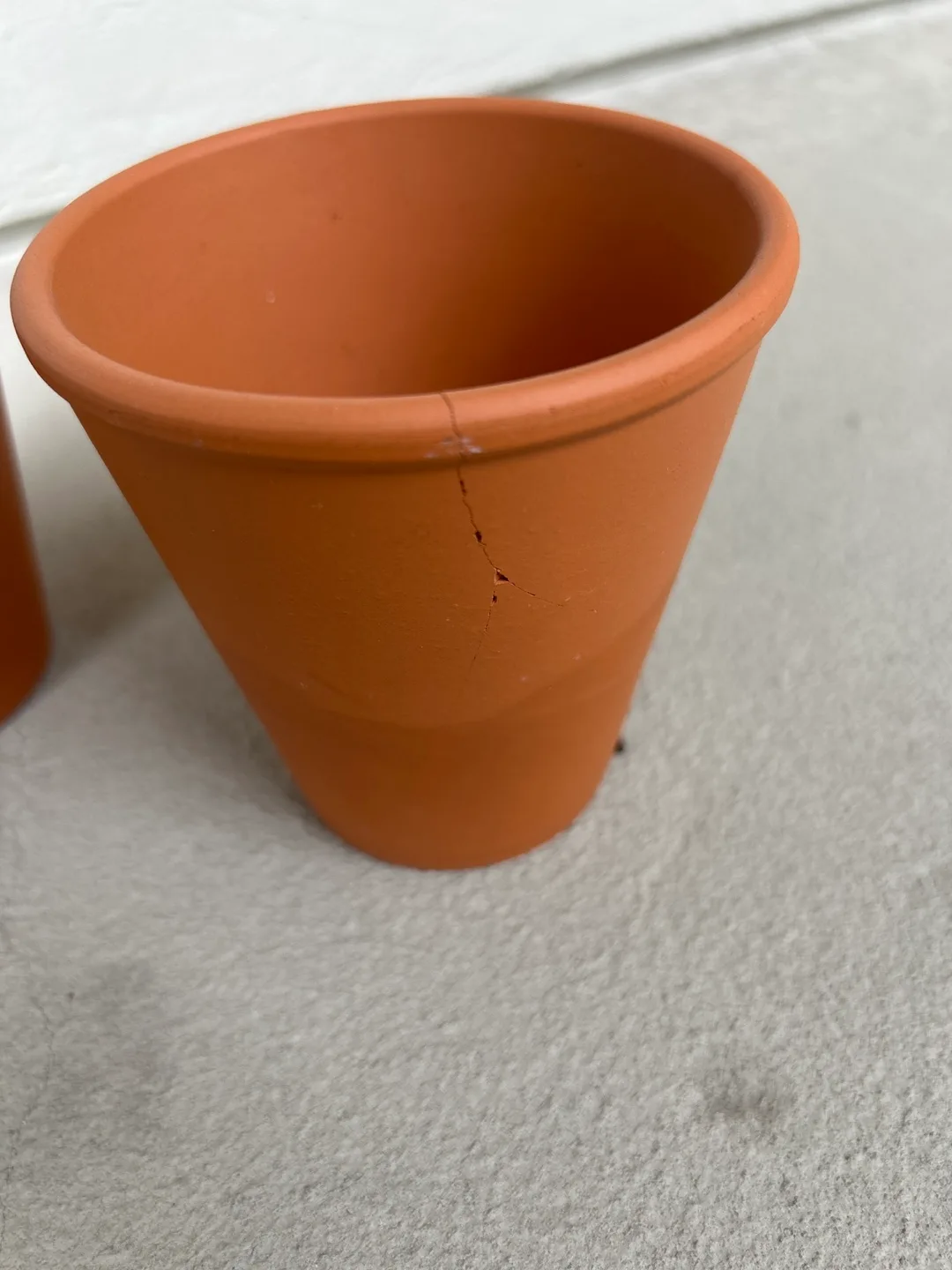 Terracotta Planter Pots image indicator(5)