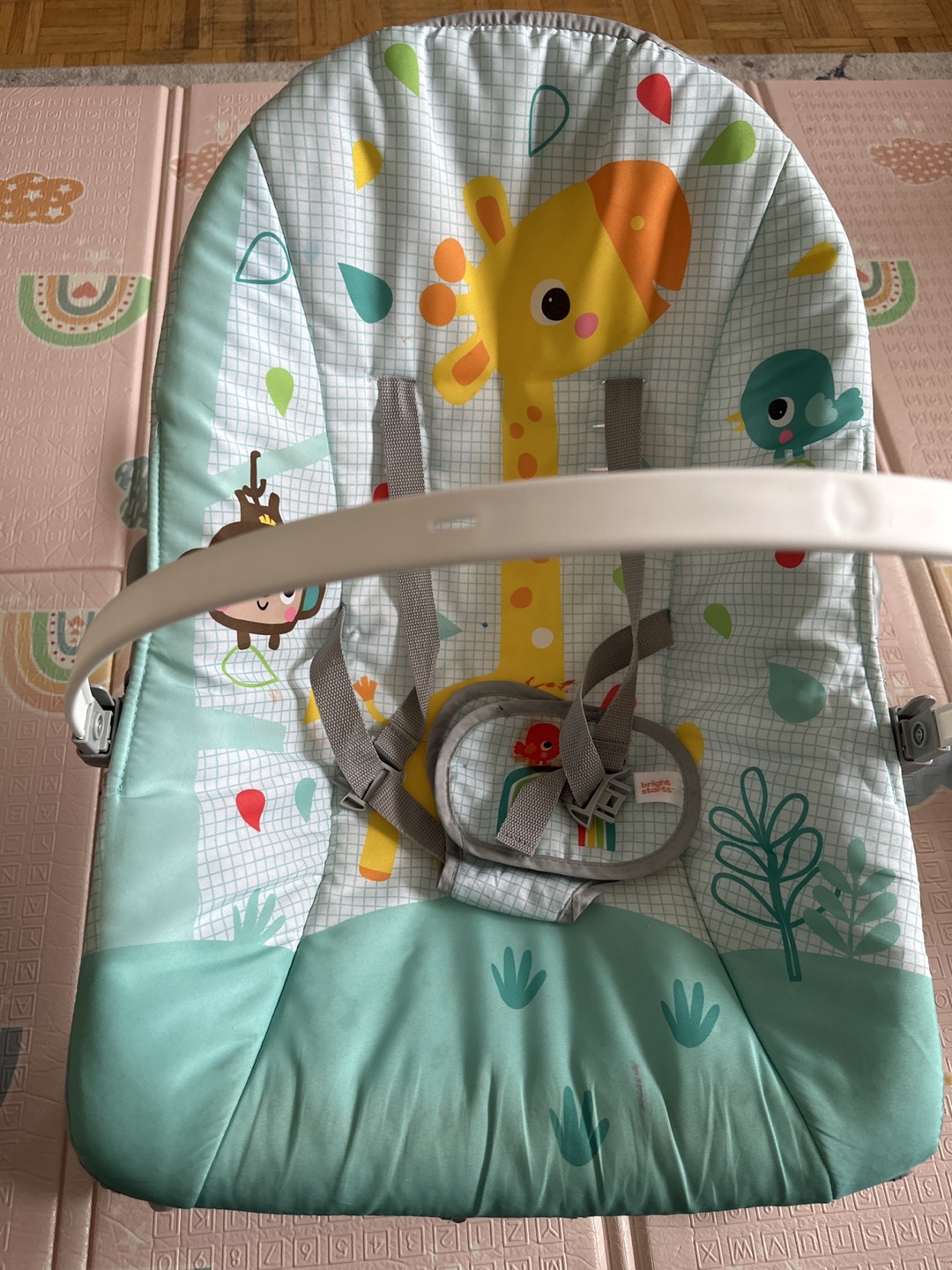 Bright Starts Wild Vibes Infant to Toddler Rocker, 0 -30 months