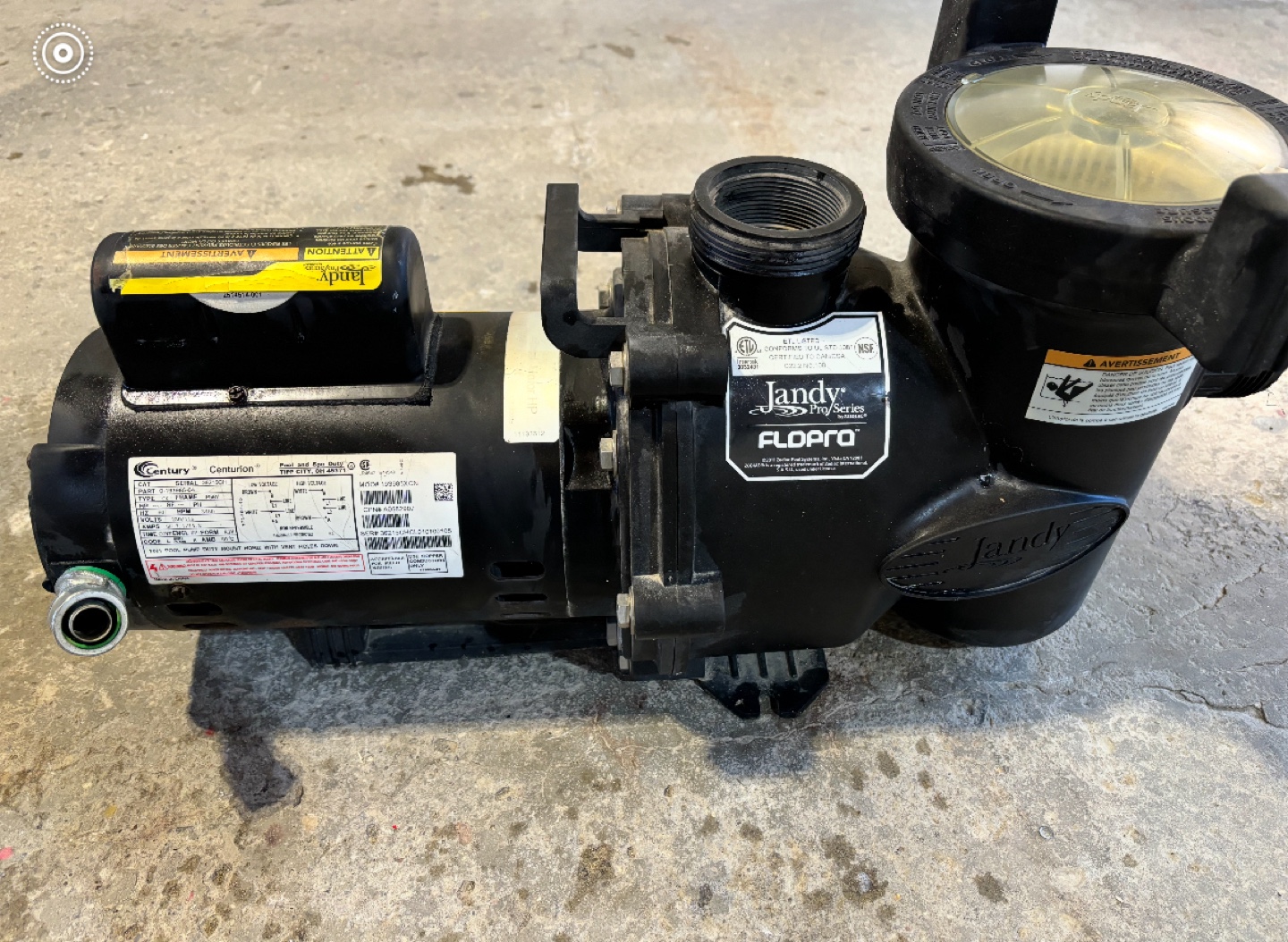 Pool and Spa Pump