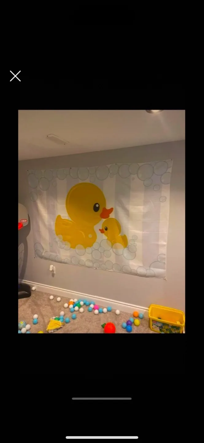 Duck themed baby shower backdrop image indicator(3)