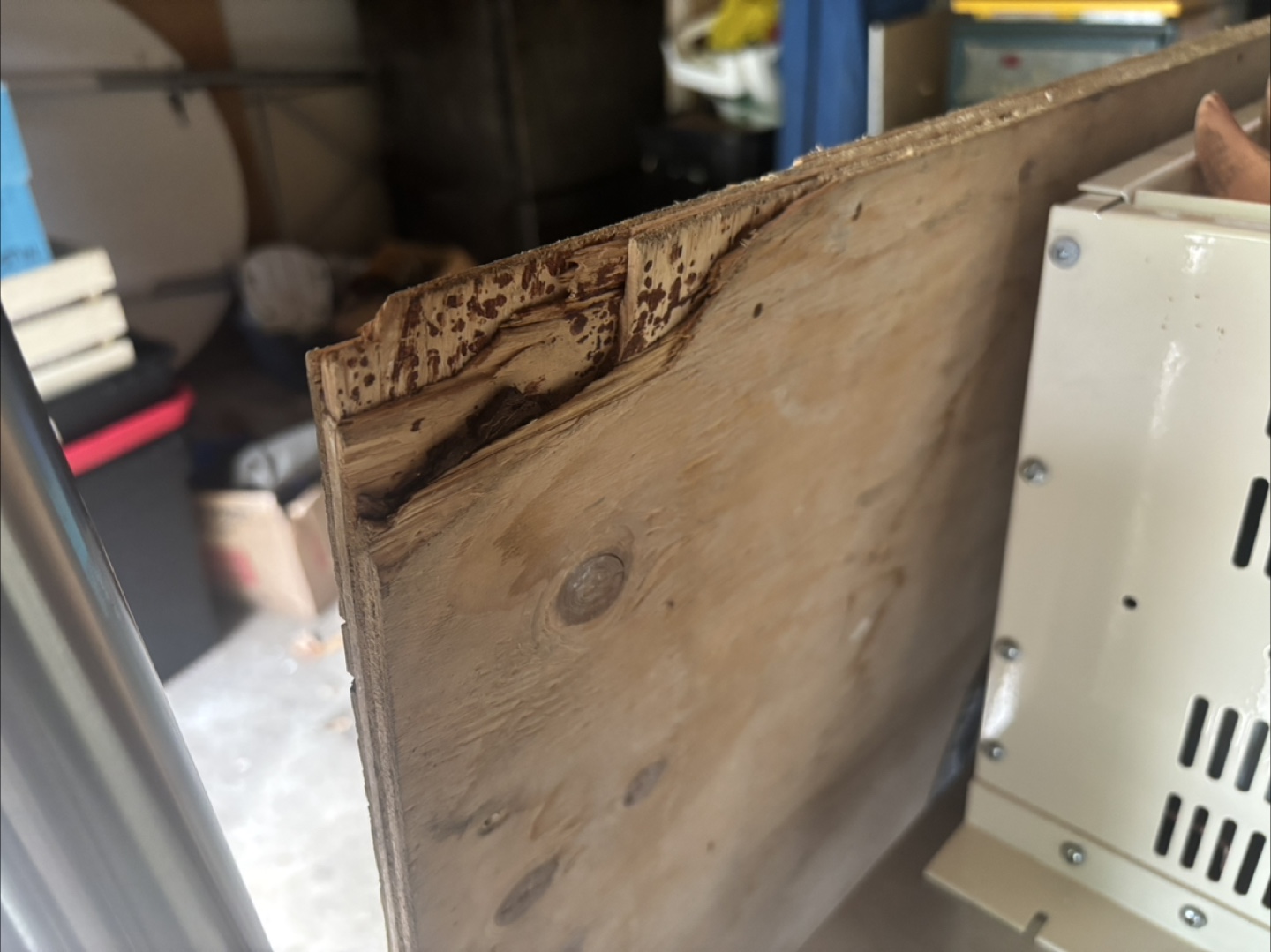 5/8 sheet of plywood - photo 3