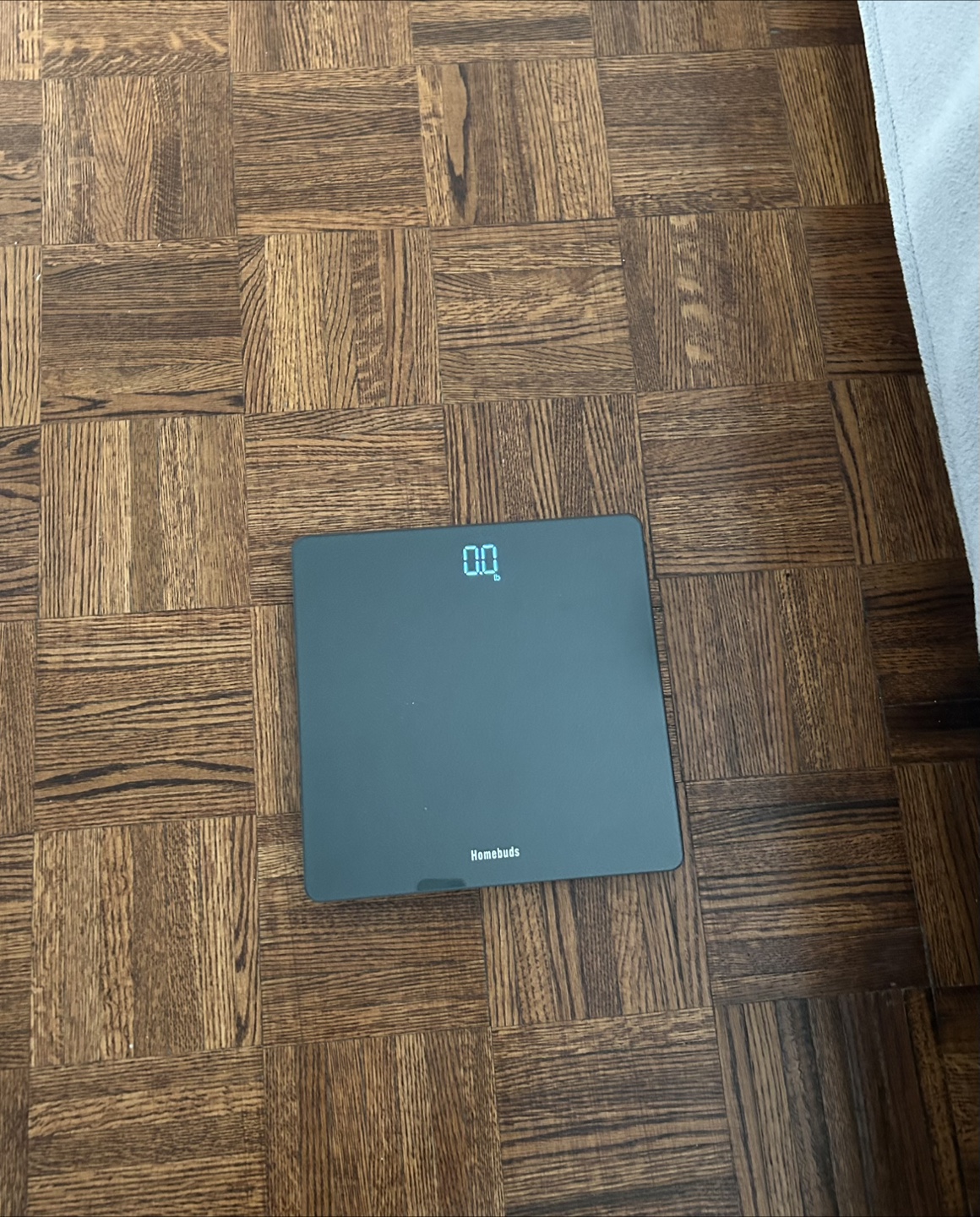 Homebuds Digital Scale