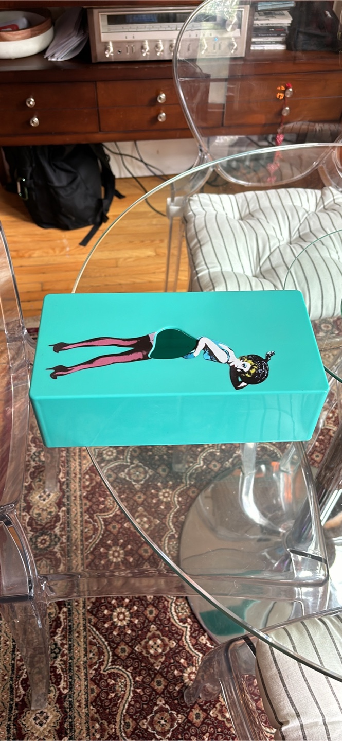 Retro Teal Tissue Dispenser Box with Pin-Up Design