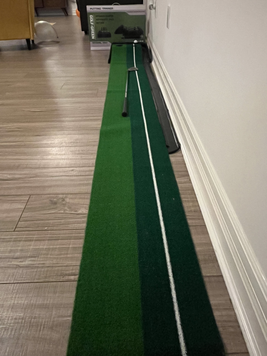 Golf-Green Putting Trainer Set - photo 4
