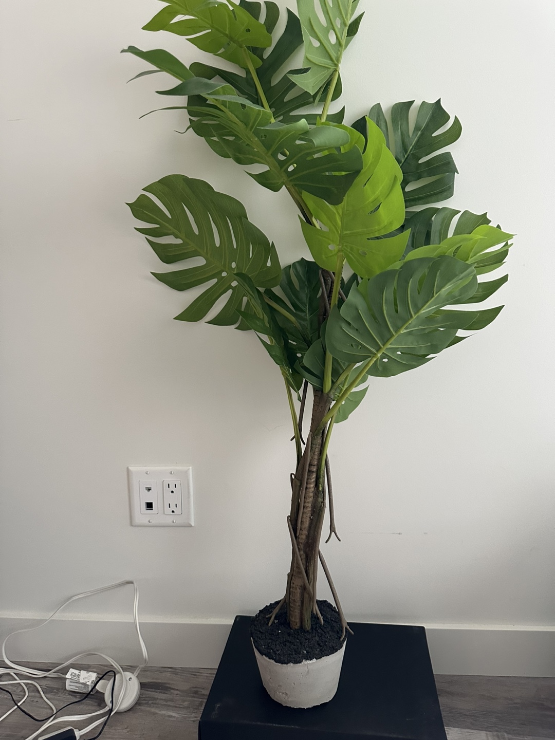 Artificial  Plant
