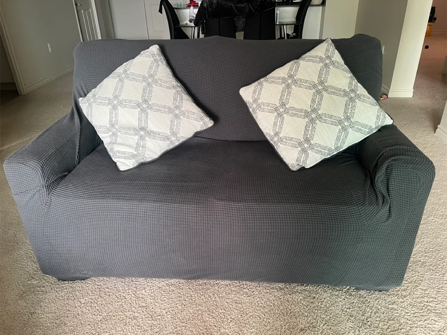 Flava Loveseat with 2 pillows image indicator(2)