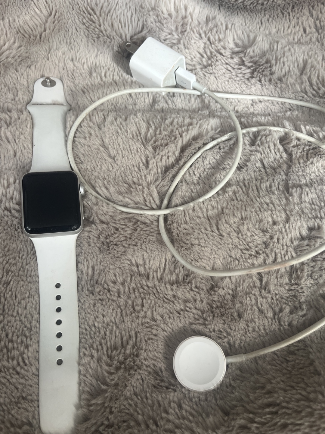 Apple Watch with Charger