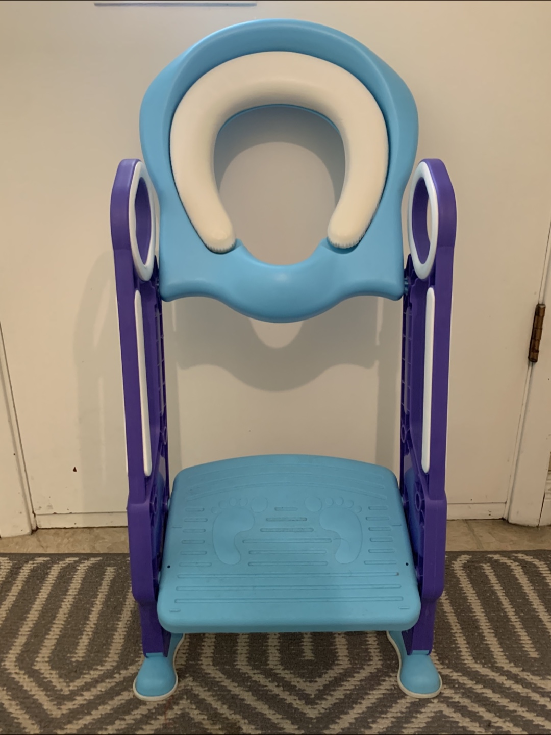 Potty Training Seat with Step Stool