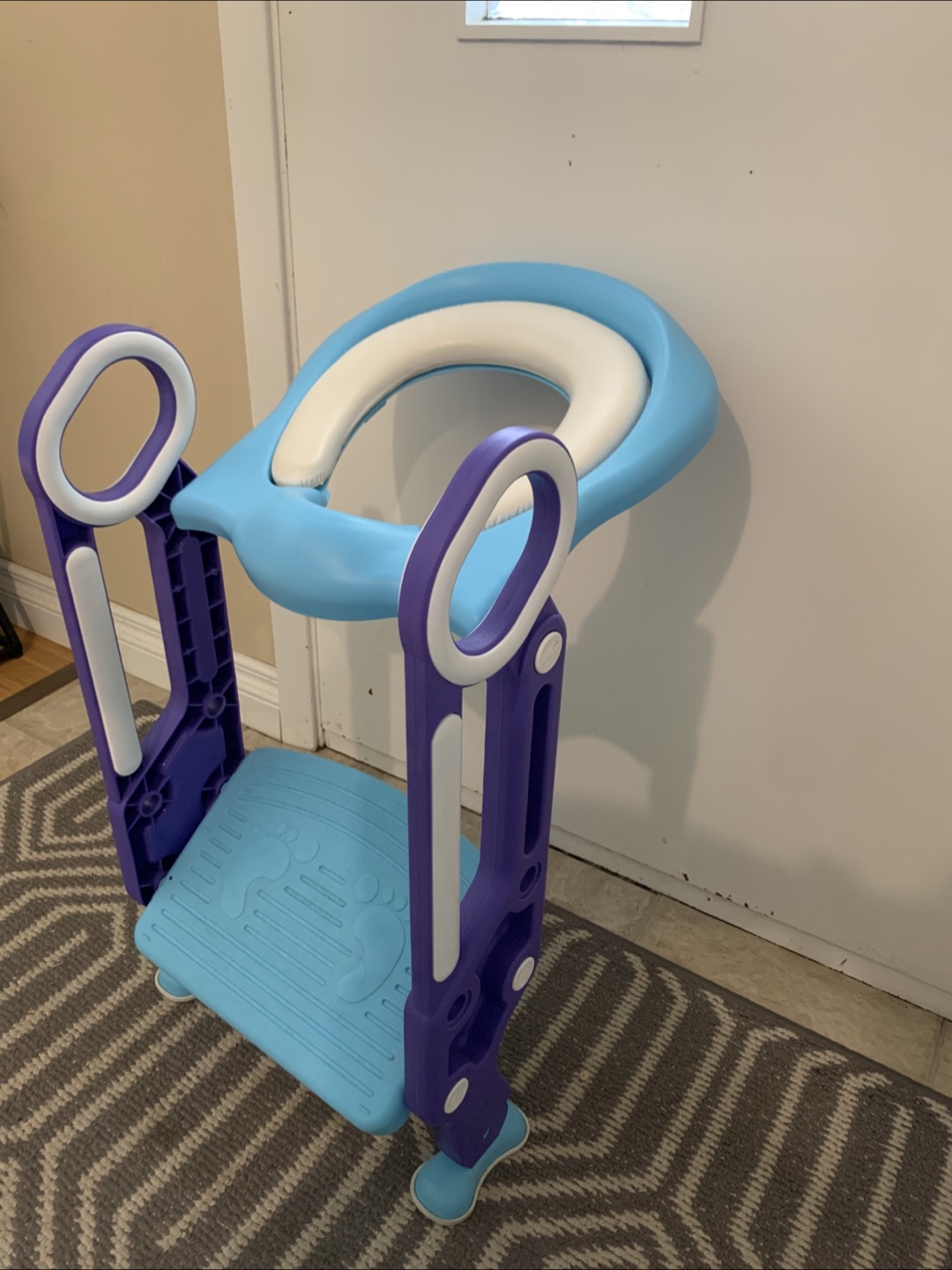 Potty Training Seat with Step Stool - photo 3