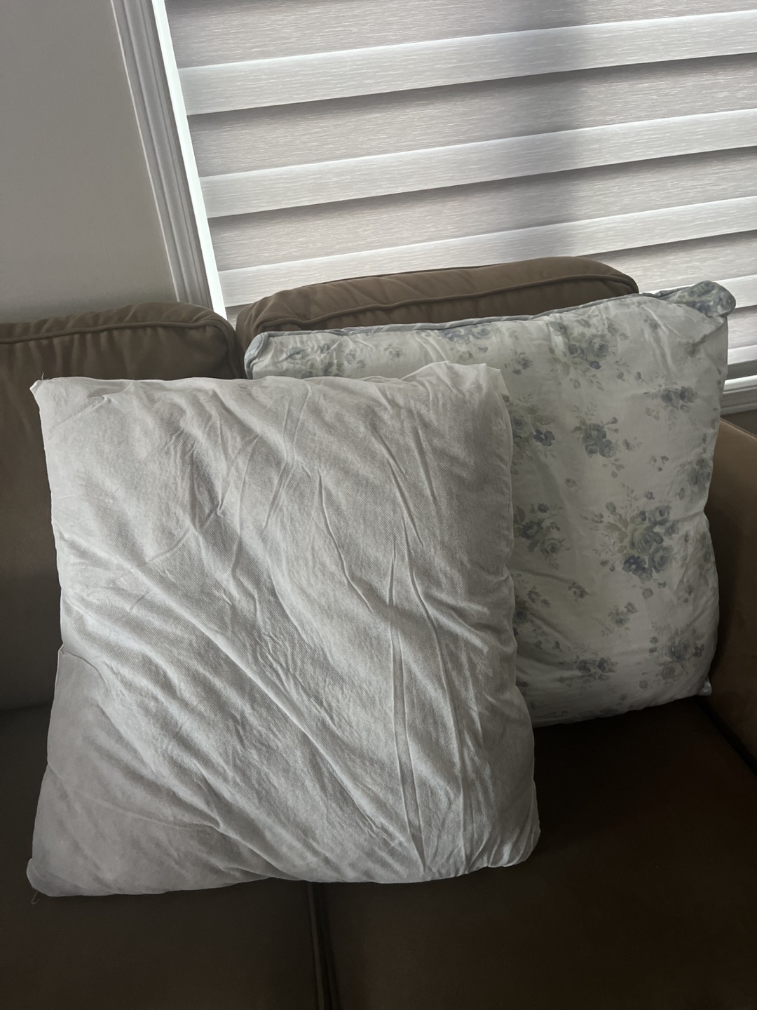 Pillows - Set of 2