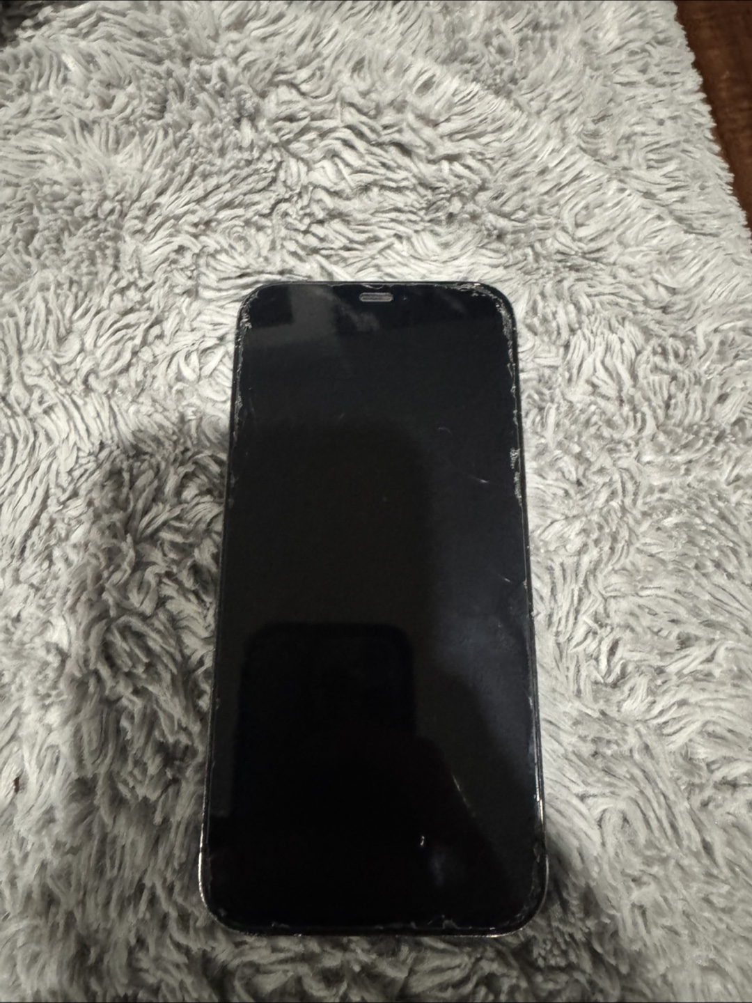 Apple iPhone 12 Pro