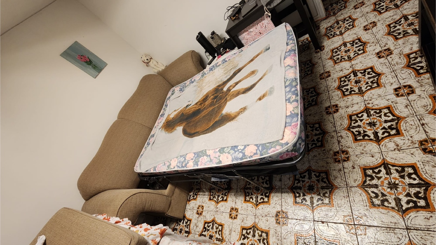 Sofa with pull out bed - photo 2