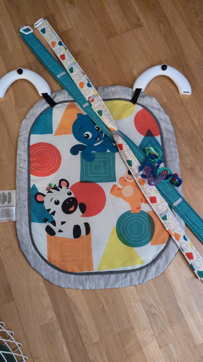 Baby Einstein Activity Gym