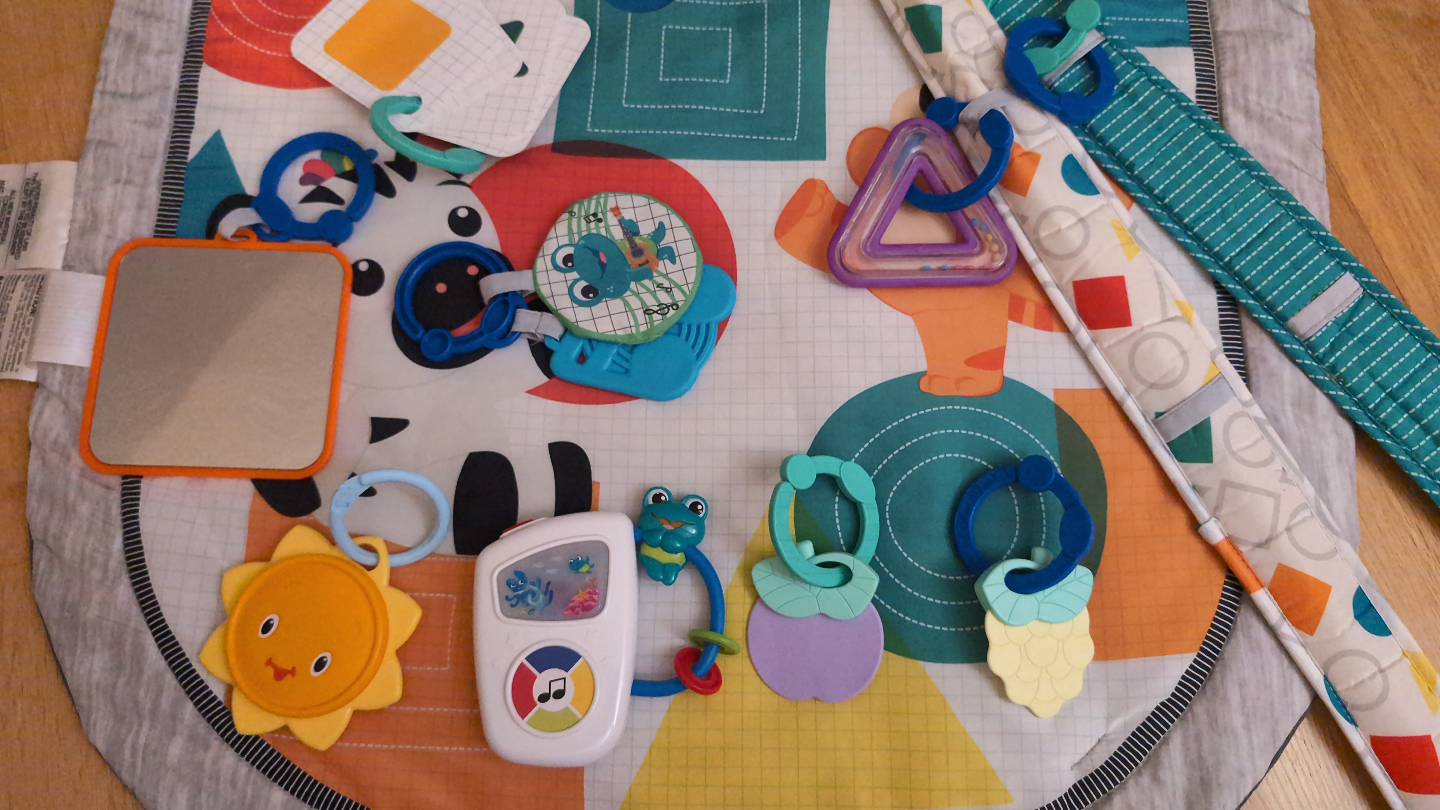 Baby Einstein Activity Gym - photo 3