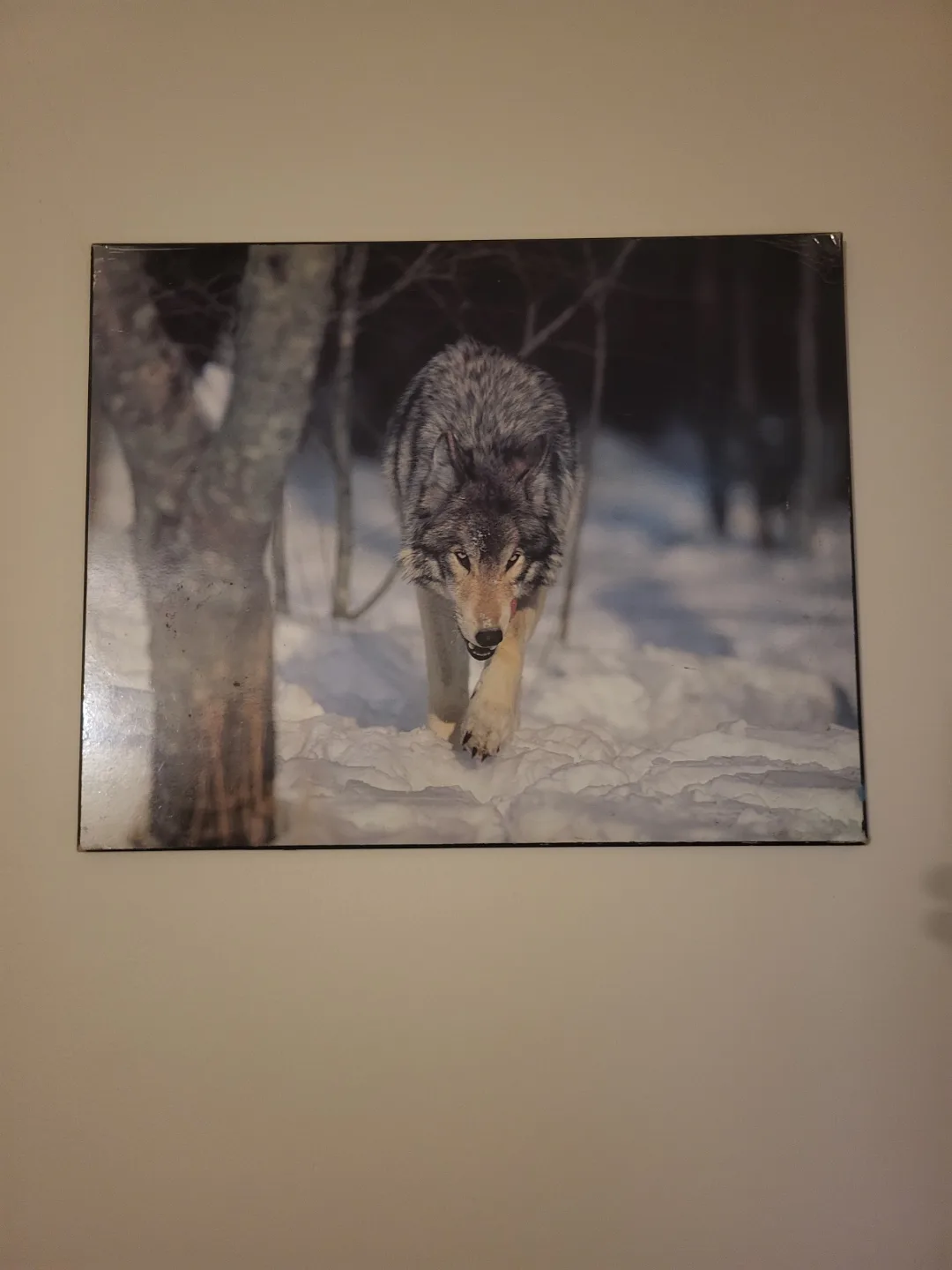 Set of 7 Wolf Prints image indicator(3)