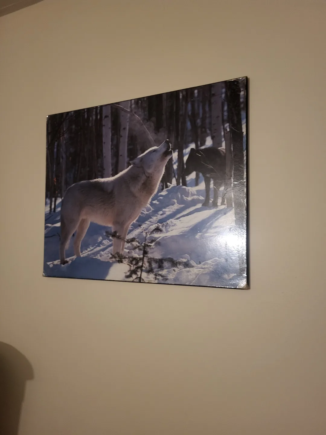 Set of 7 Wolf Prints image indicator(4)