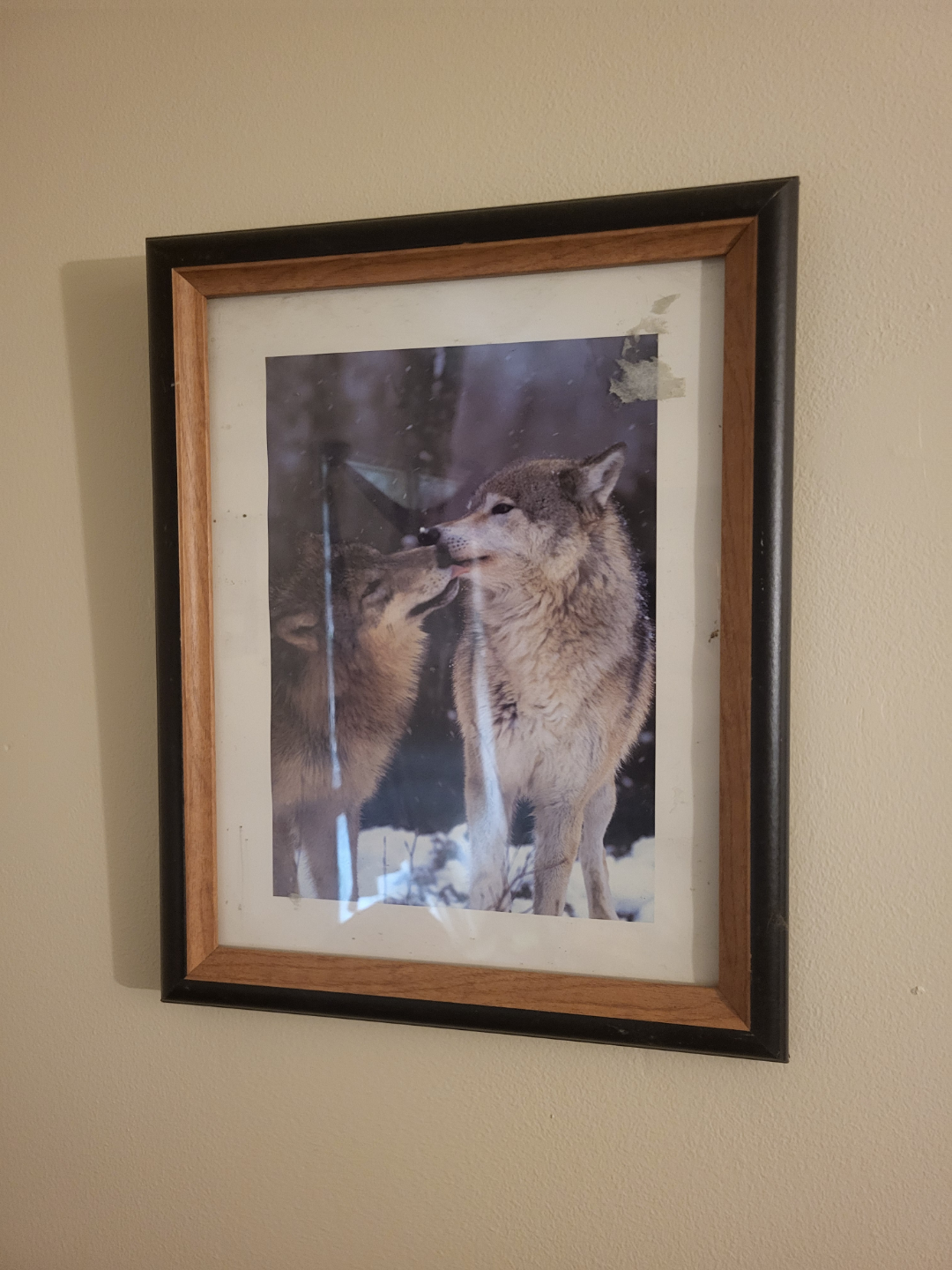 Set of 7 Wolf Prints - photo 5