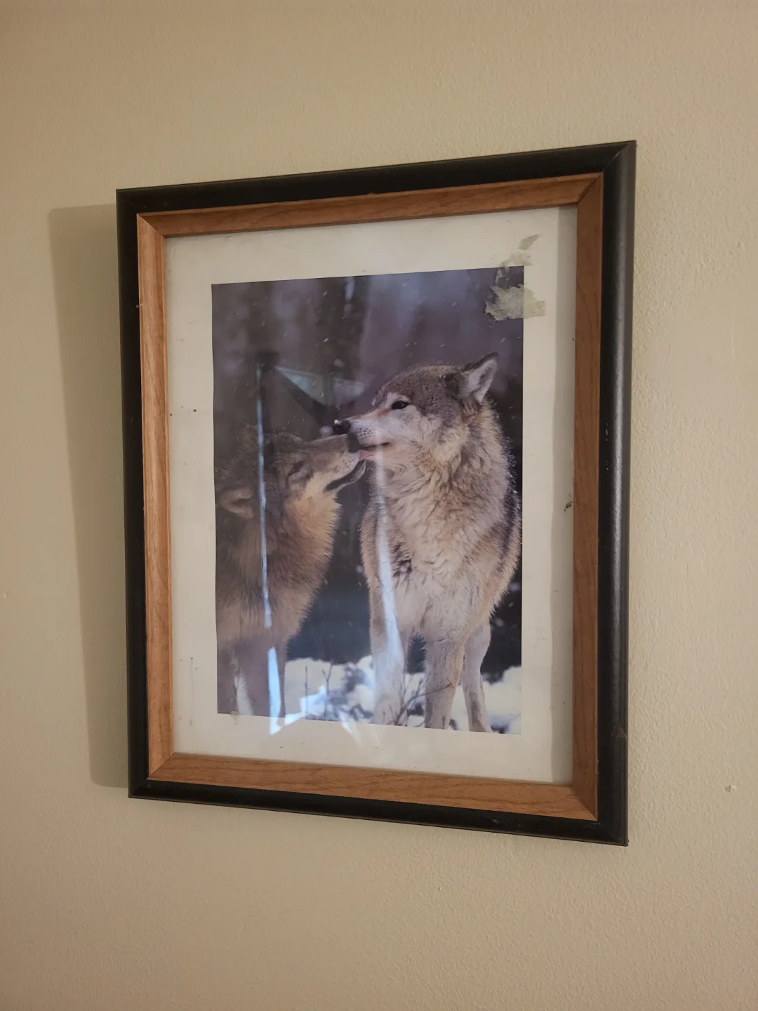 Set of 7 Wolf Prints image indicator(5)