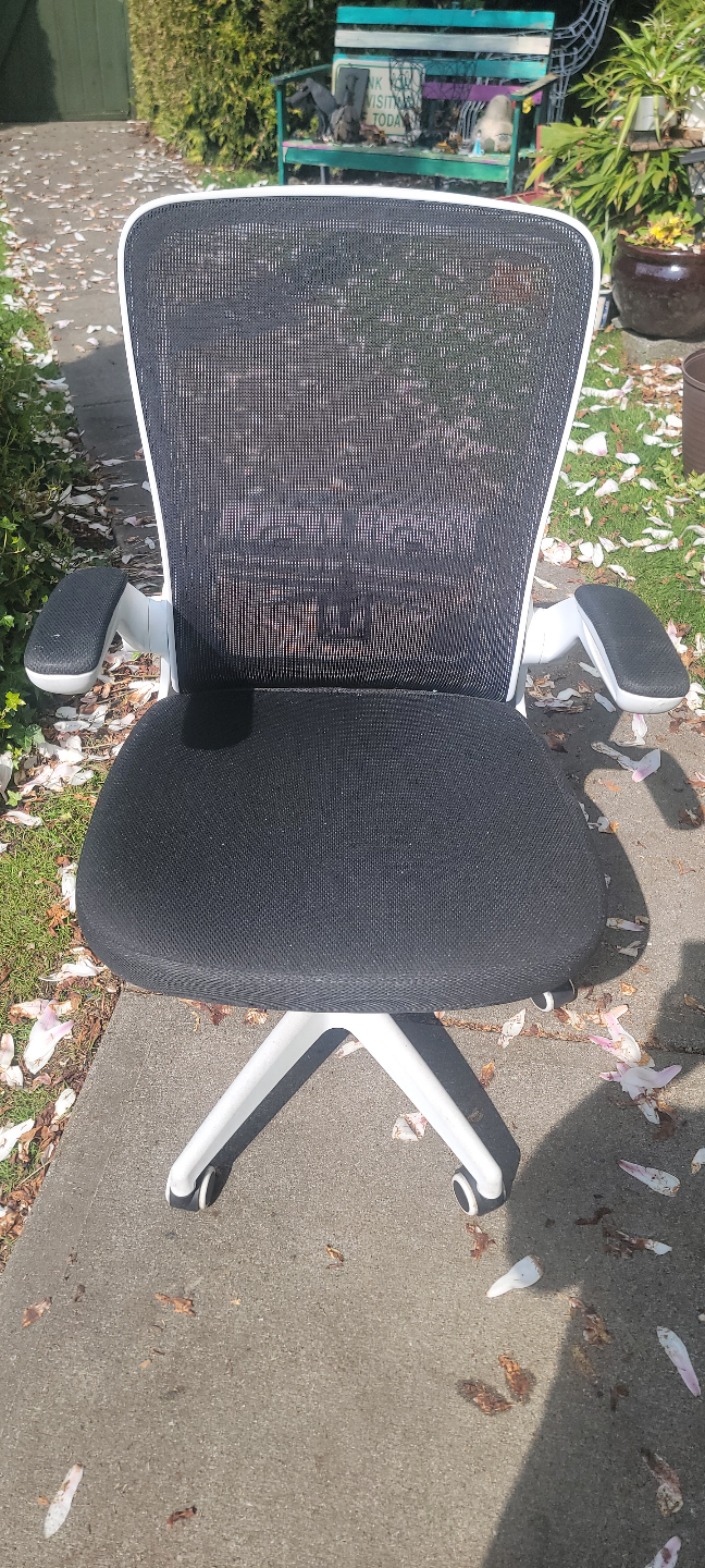 White and Black Mesh Office Chair - photo 3