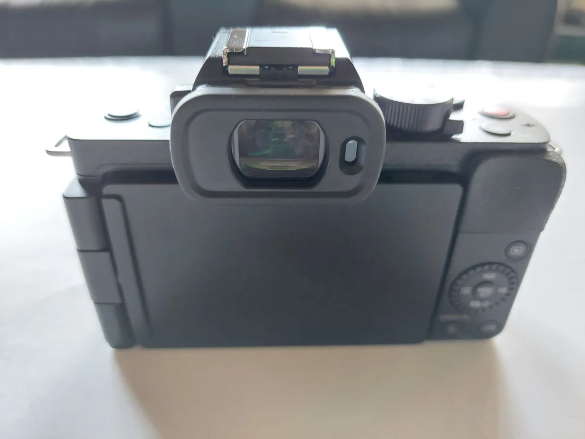 Panasonic Lumix G100 Mirrorless Camera image indicator(6)