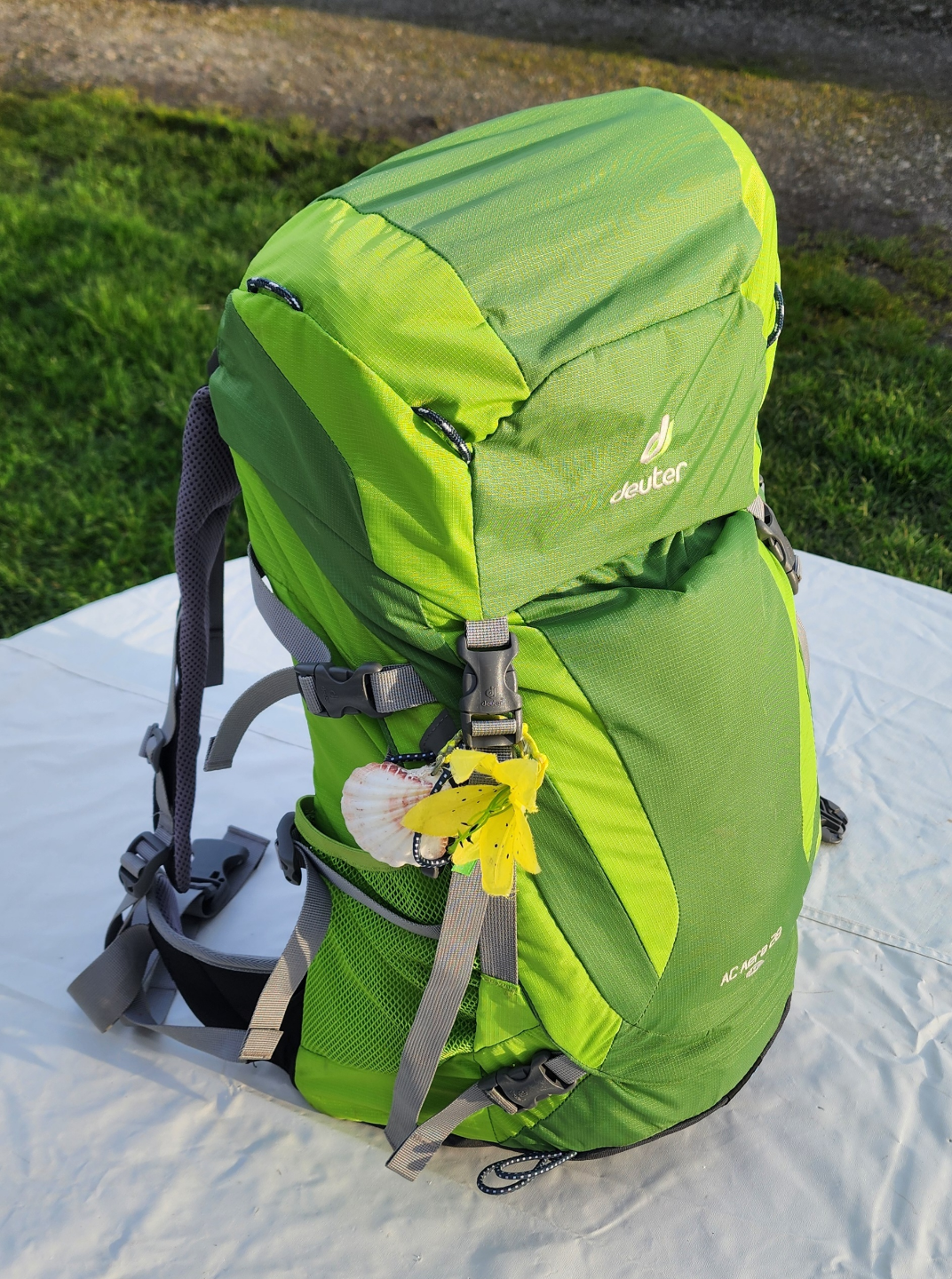 Deuter AC Aera 28l SL Womens Backpack