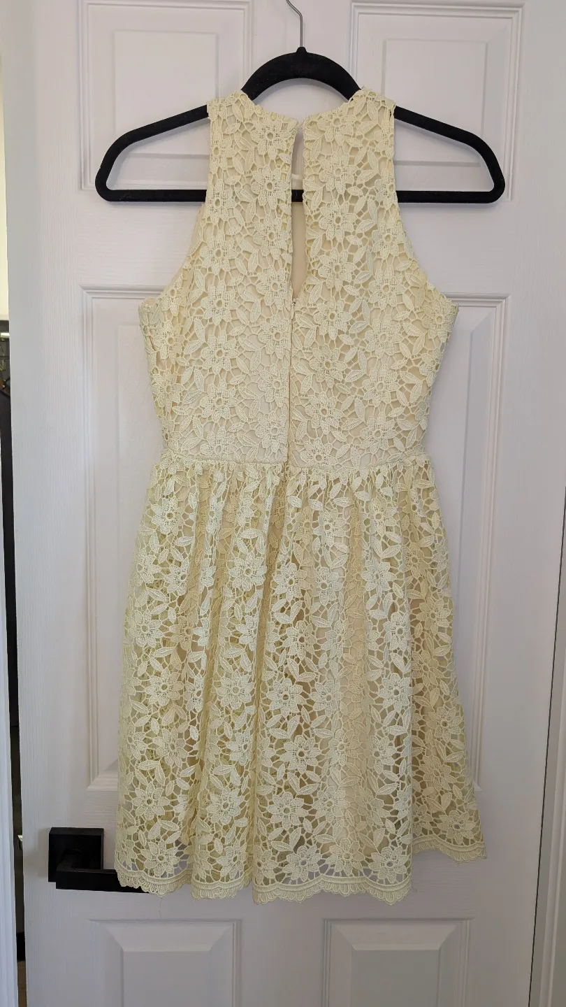 Zara Pale Yellow Lace Fit and Flare Dress image indicator(2)