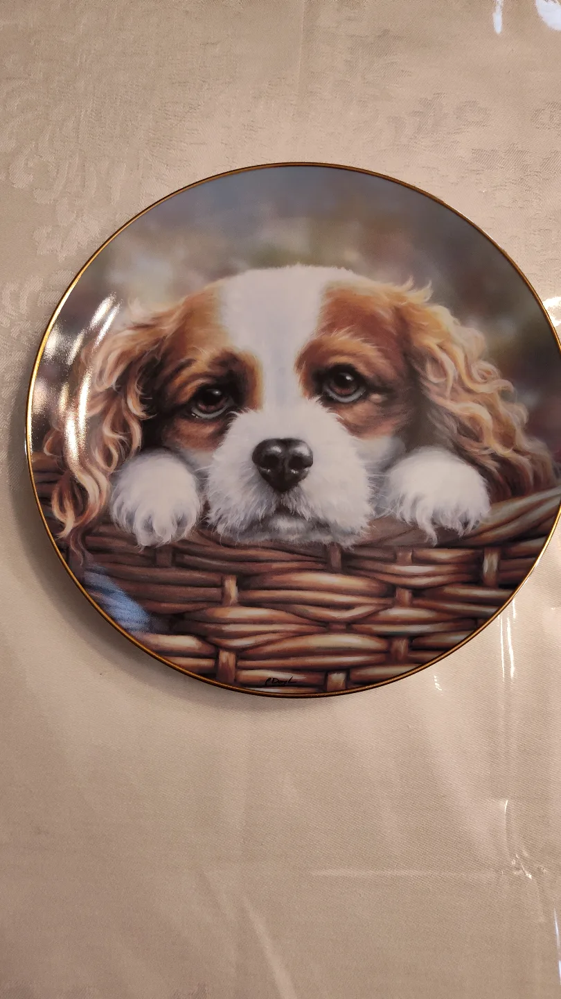 Limited Edition King Charles Cavalier Spaniel Collectible Plate image indicator(2)
