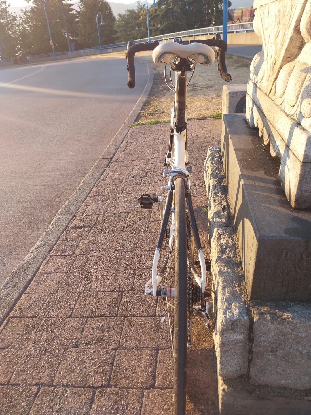 Specialized Carbon Fiber Roubaix Road Bike image indicator(3)