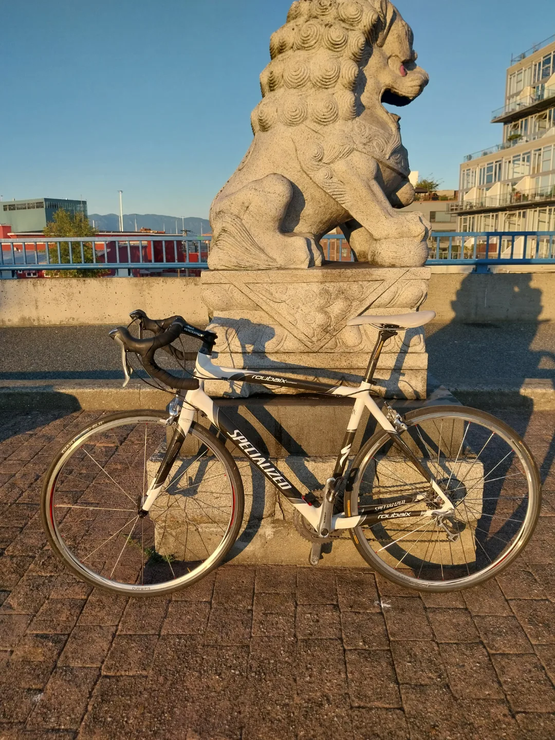 Specialized Carbon Fiber Roubaix Road Bike image indicator(4)