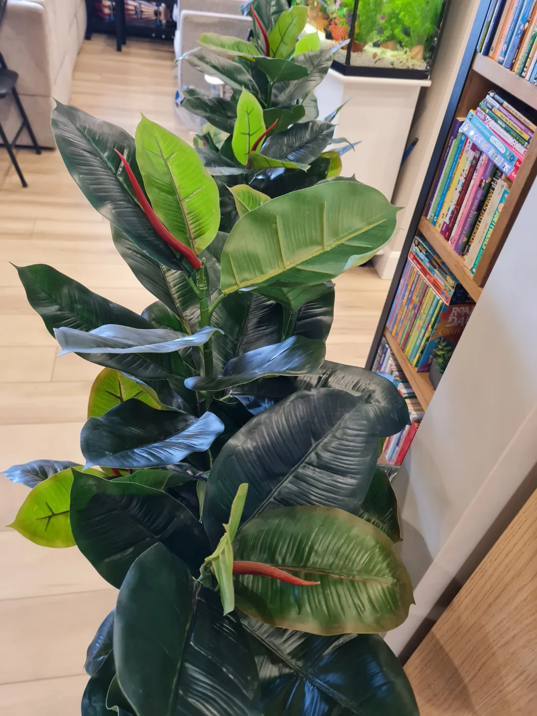 Two Artificial Rubber Plants image indicator(7)