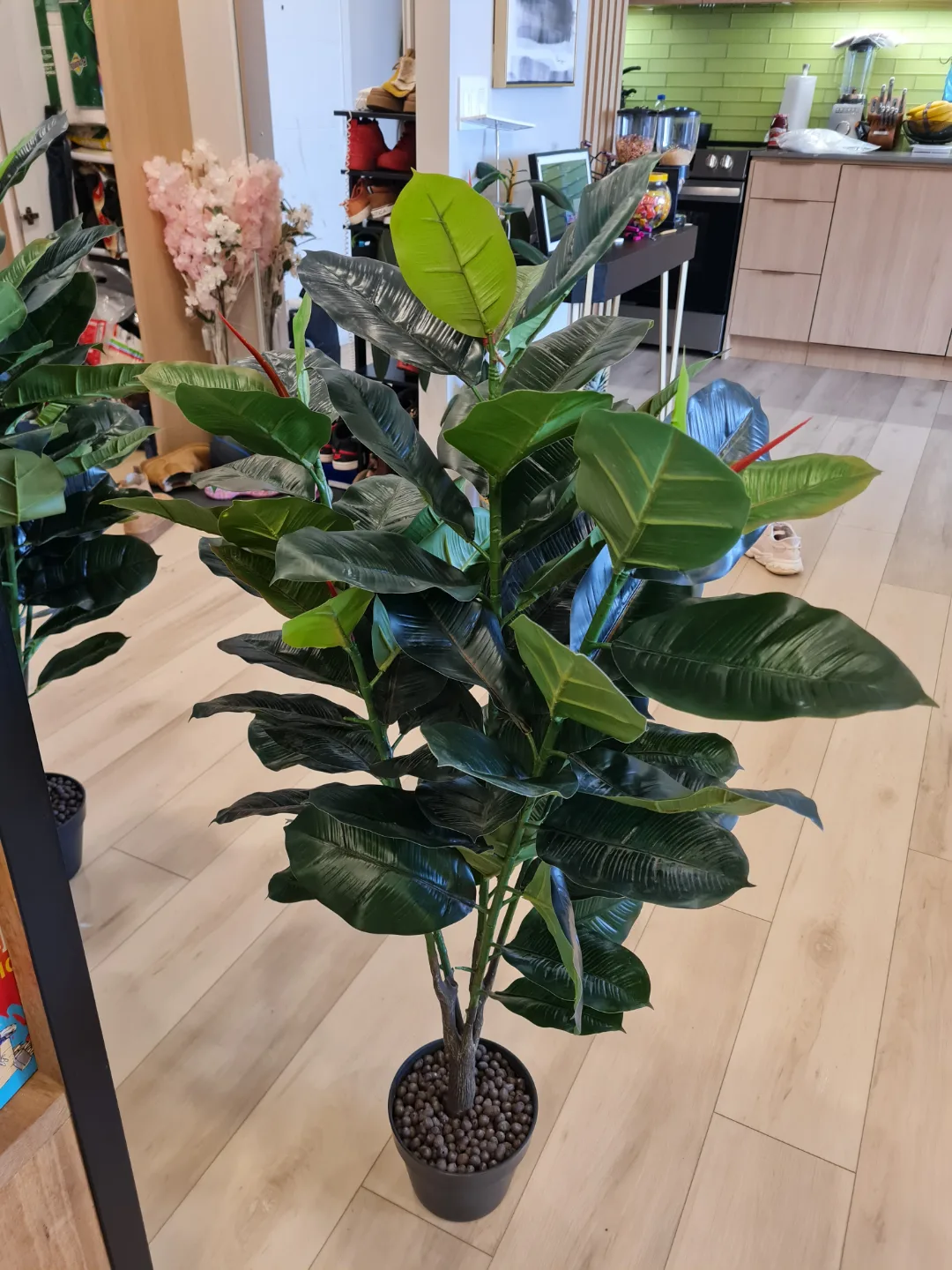 Two Artificial Rubber Plants image indicator(10)