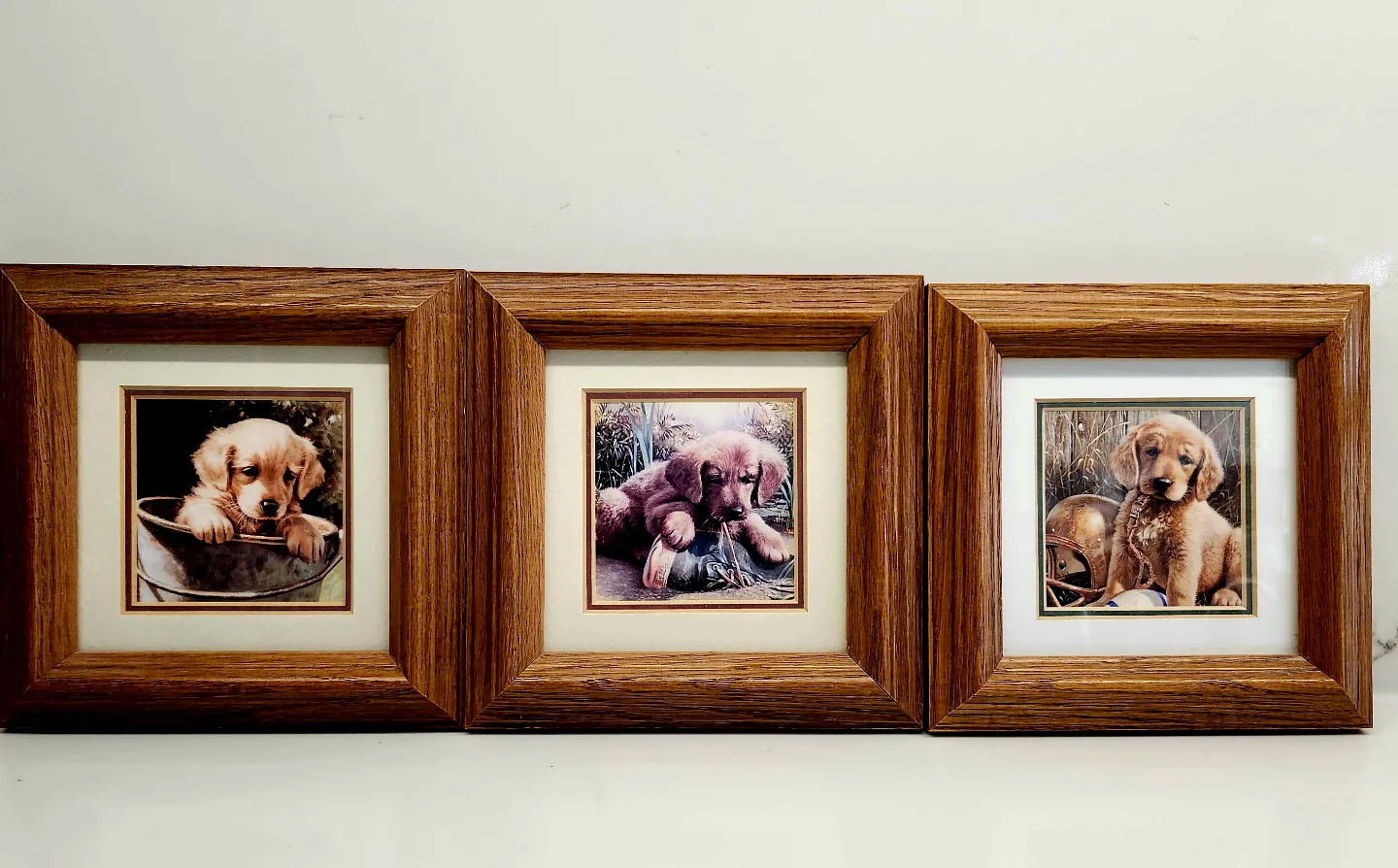 Set of three Jim Lamb Golden Retriever puppy prints thumbnail