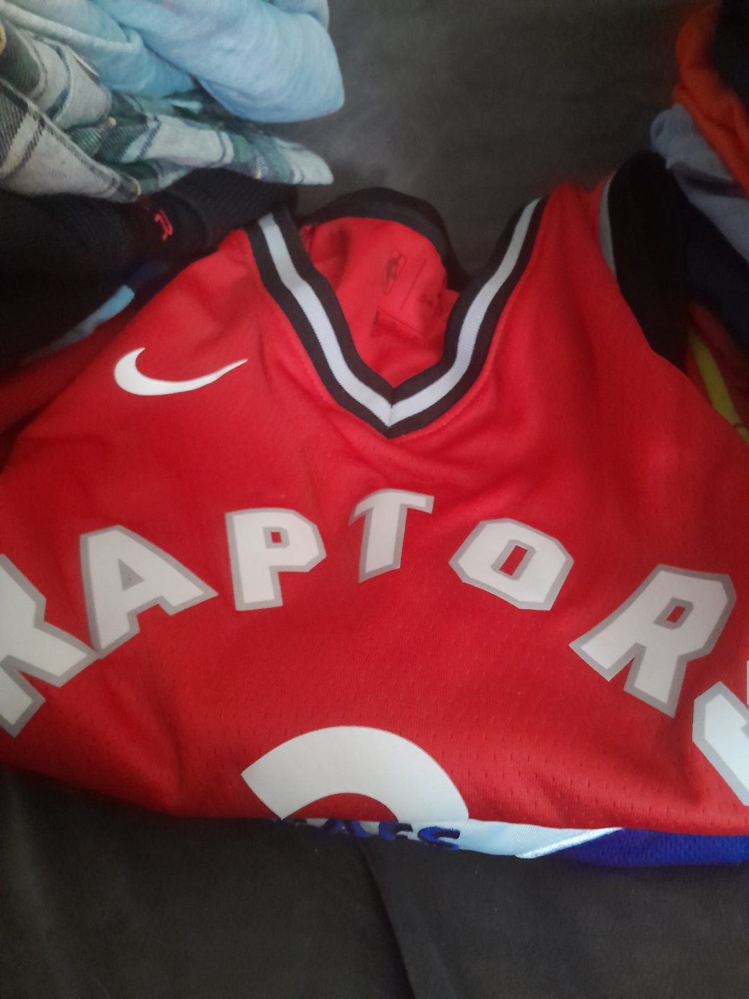 Boys' Clothing Bundle: T-shirts, Raptors Jersey & More! - photo 2