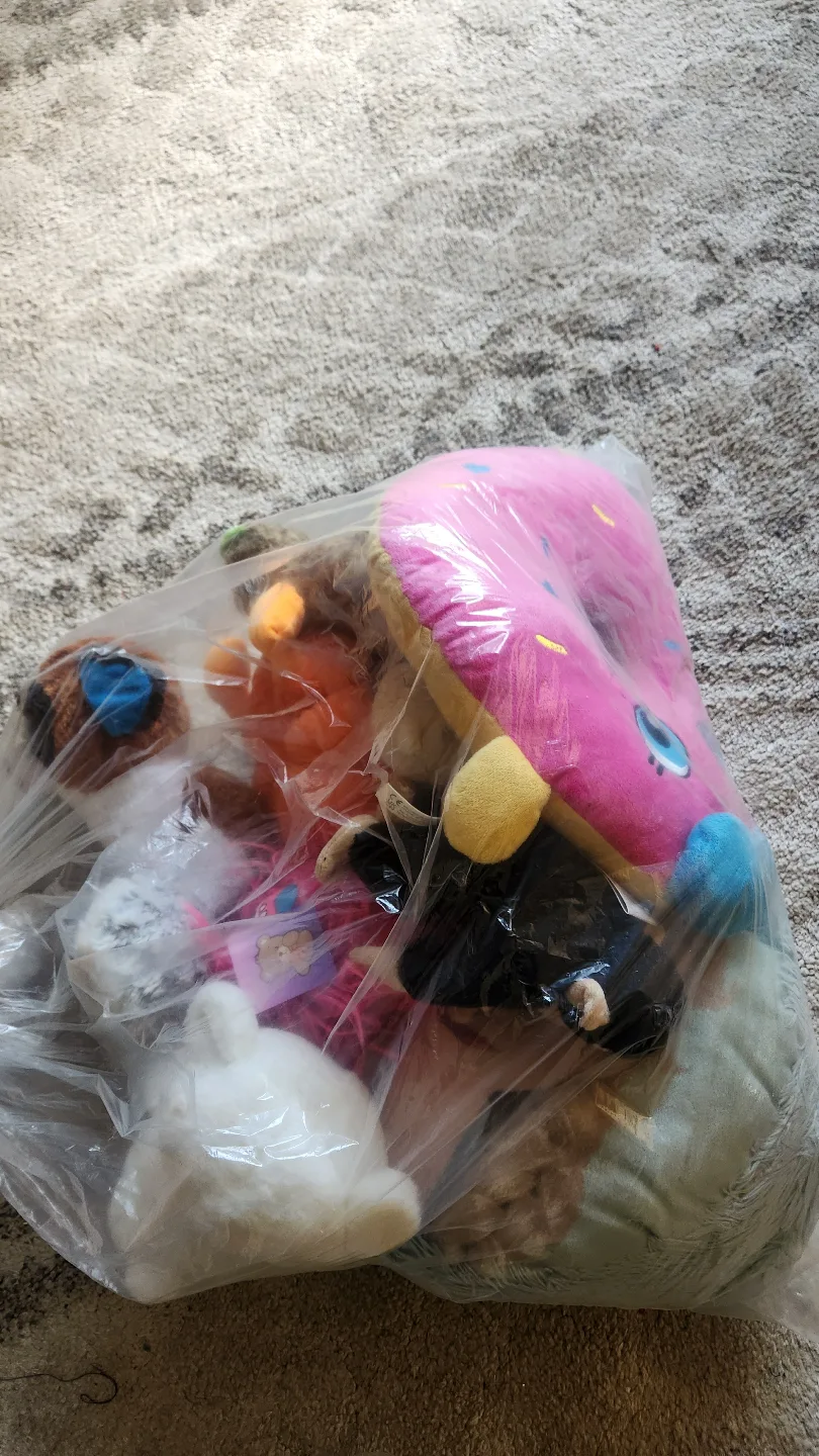 Huge Lot of Stuffed Animals and Plush Toys🏒 thumbnail