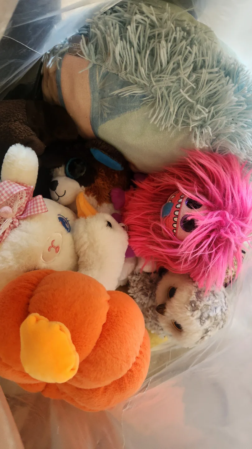 Huge Lot of Stuffed Animals and Plush Toys🏒 image indicator(3)