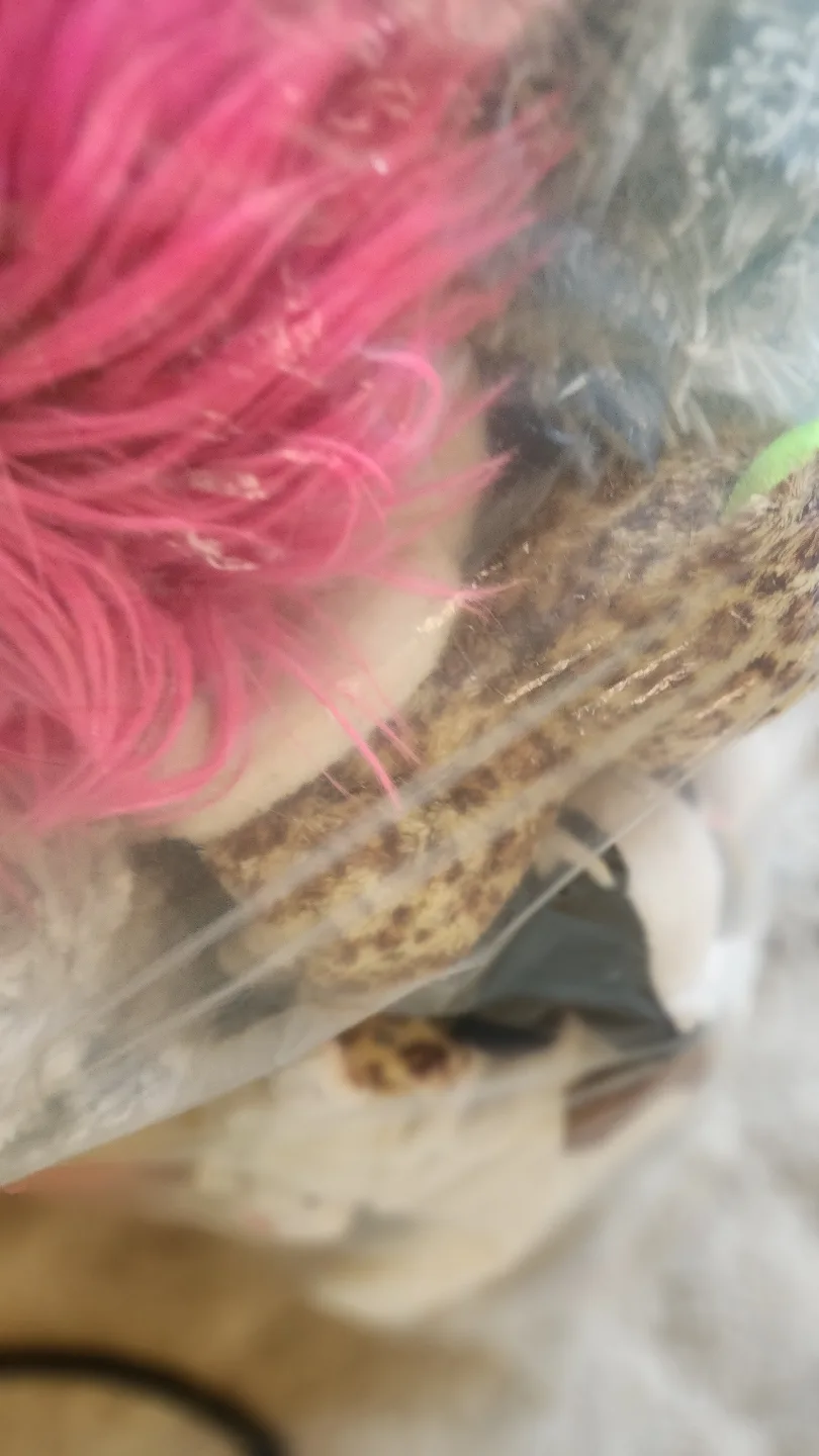 Huge Lot of Stuffed Animals and Plush Toys🏒 image indicator(4)