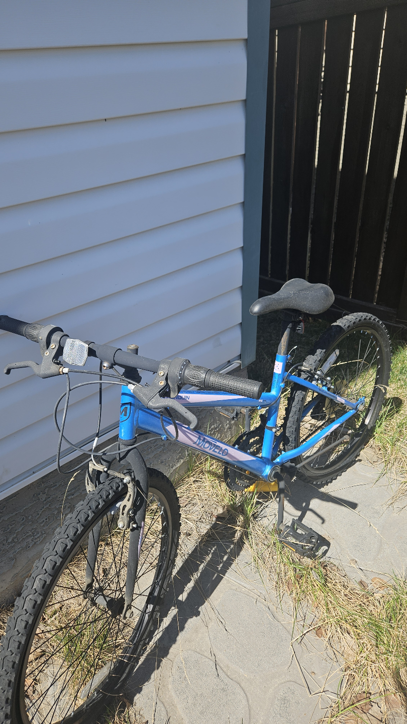 Girls' Mountain Bike - photo 2