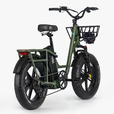 fiido t1 pro utility electric bike NEW IN BOX image indicator(2)