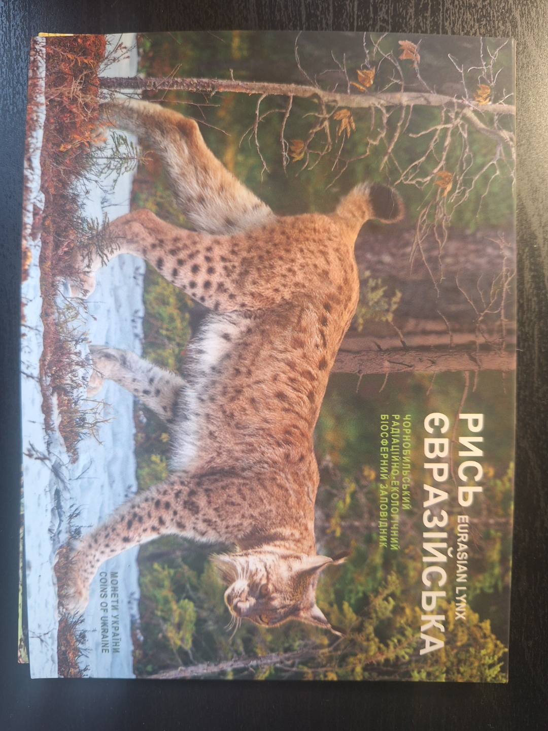 2016 Ukrainian 5 Hryvnia Eurasian Lynx Silver Coin in Folder