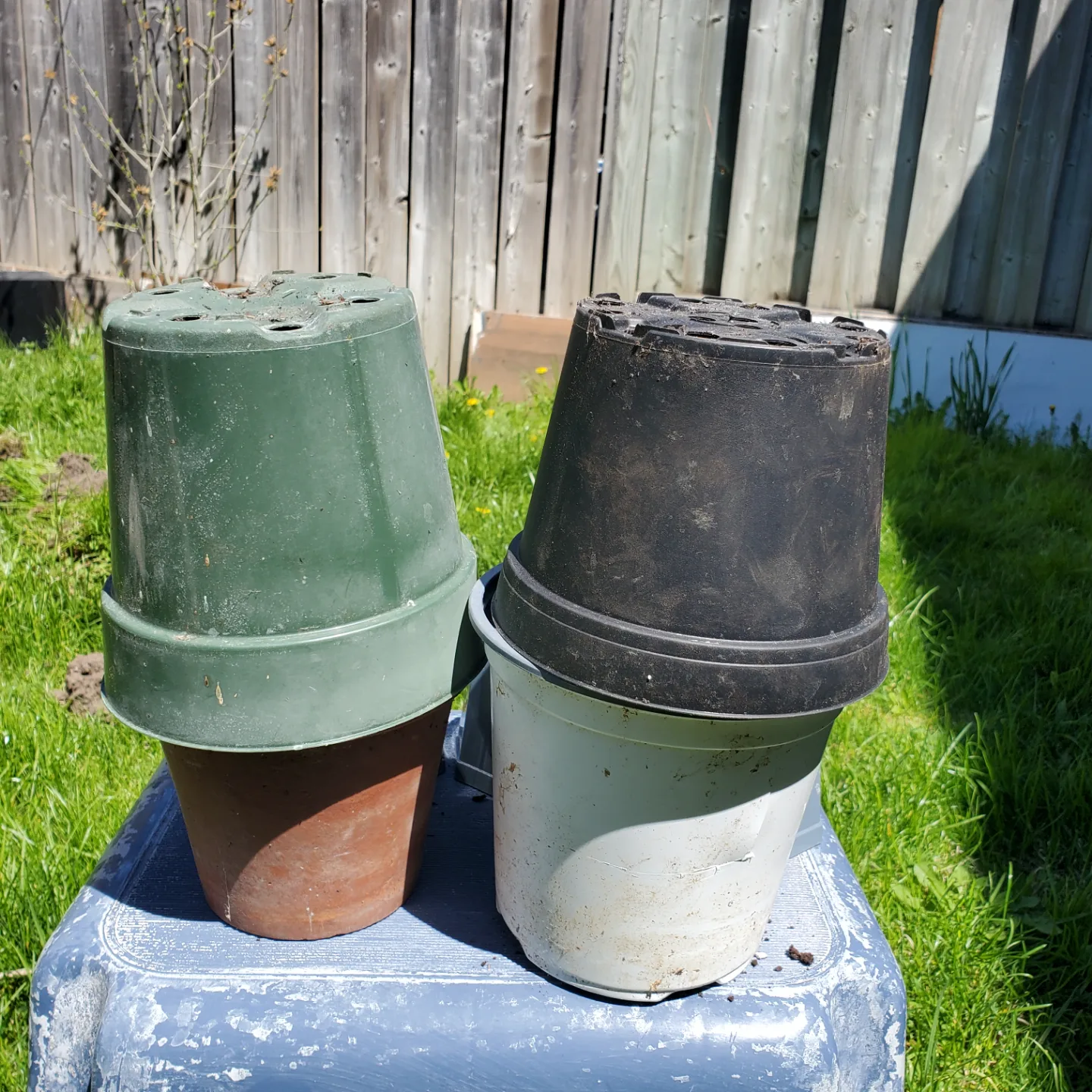 Assorted Plastic Plant Pots - Great for Gardening! thumbnail