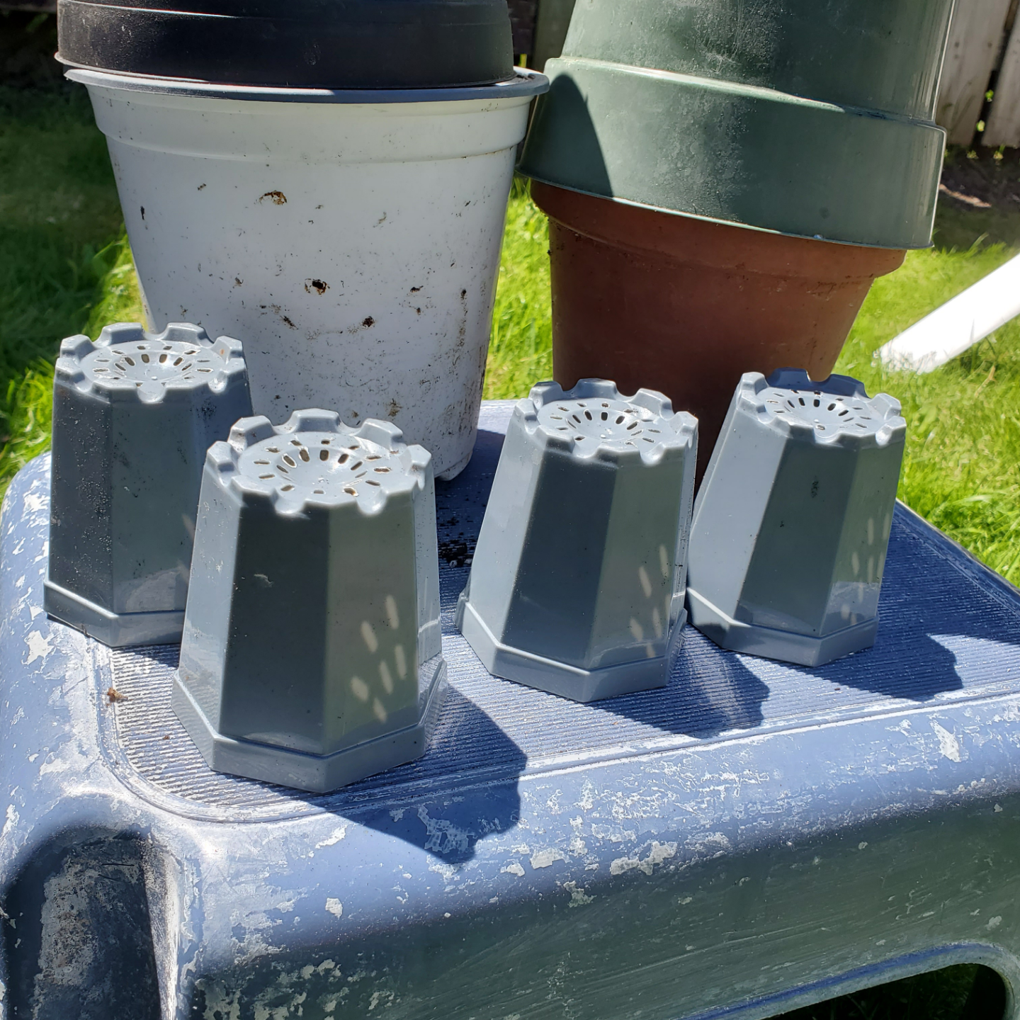 Assorted Plastic Plant Pots - Great for Gardening! - photo 2