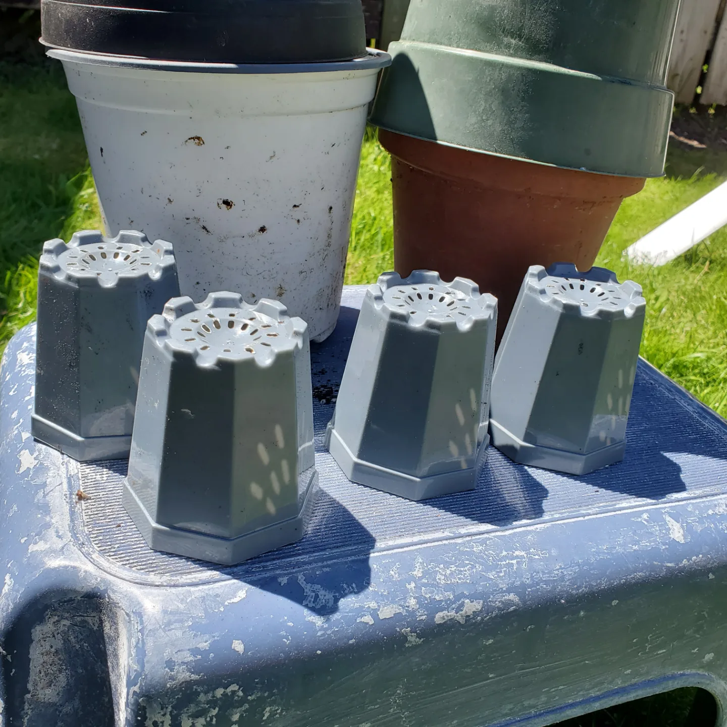 Assorted Plastic Plant Pots - Great for Gardening! image indicator(2)
