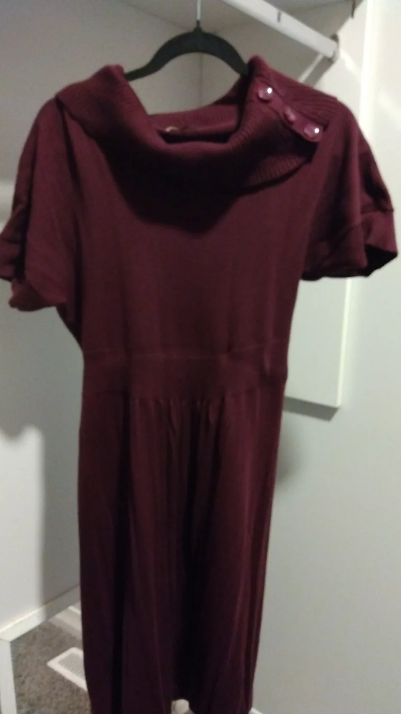 Burgundy Cowl Neck Short Sleeve Sweater Dress 🏒