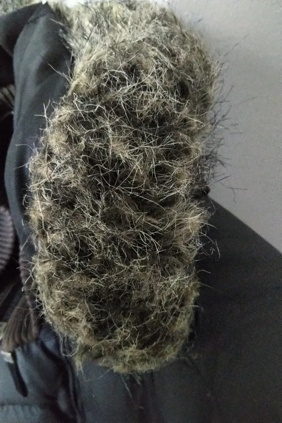 Polo Ralph Lauren Jeans Co. Puffer Jacket - unisex Medium image indicator(4)