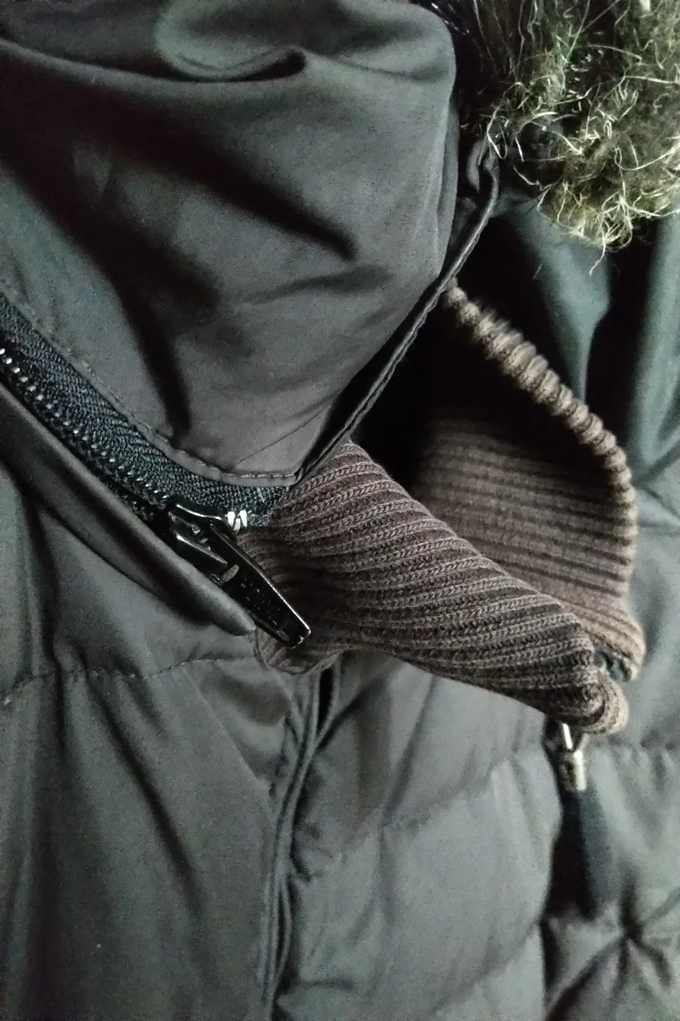 Polo Ralph Lauren Jeans Co. Puffer Jacket - unisex Medium image indicator(5)