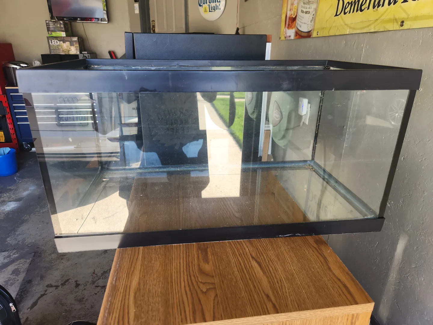 Large Aquarium Tank thumbnail